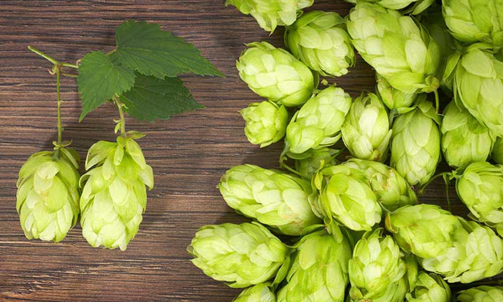 開(kāi)精釀啤酒廠容易嗎？