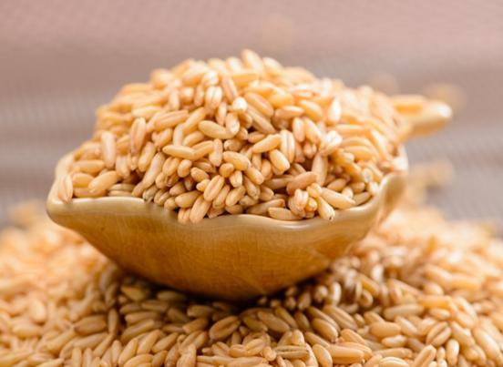 精釀啤酒設備,啤酒廠設備,開辦啤酒廠,浸麥