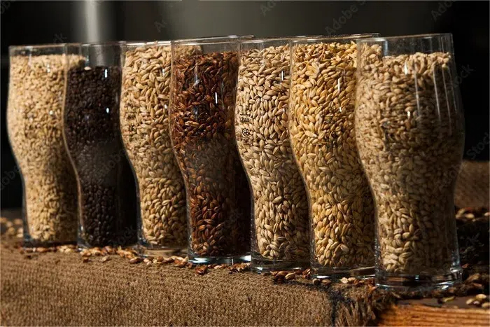 精釀啤酒原料-山東天泰<a href=http://m.jsrgmr.com/ target=_blank class=infotextkey>啤酒設備</a>