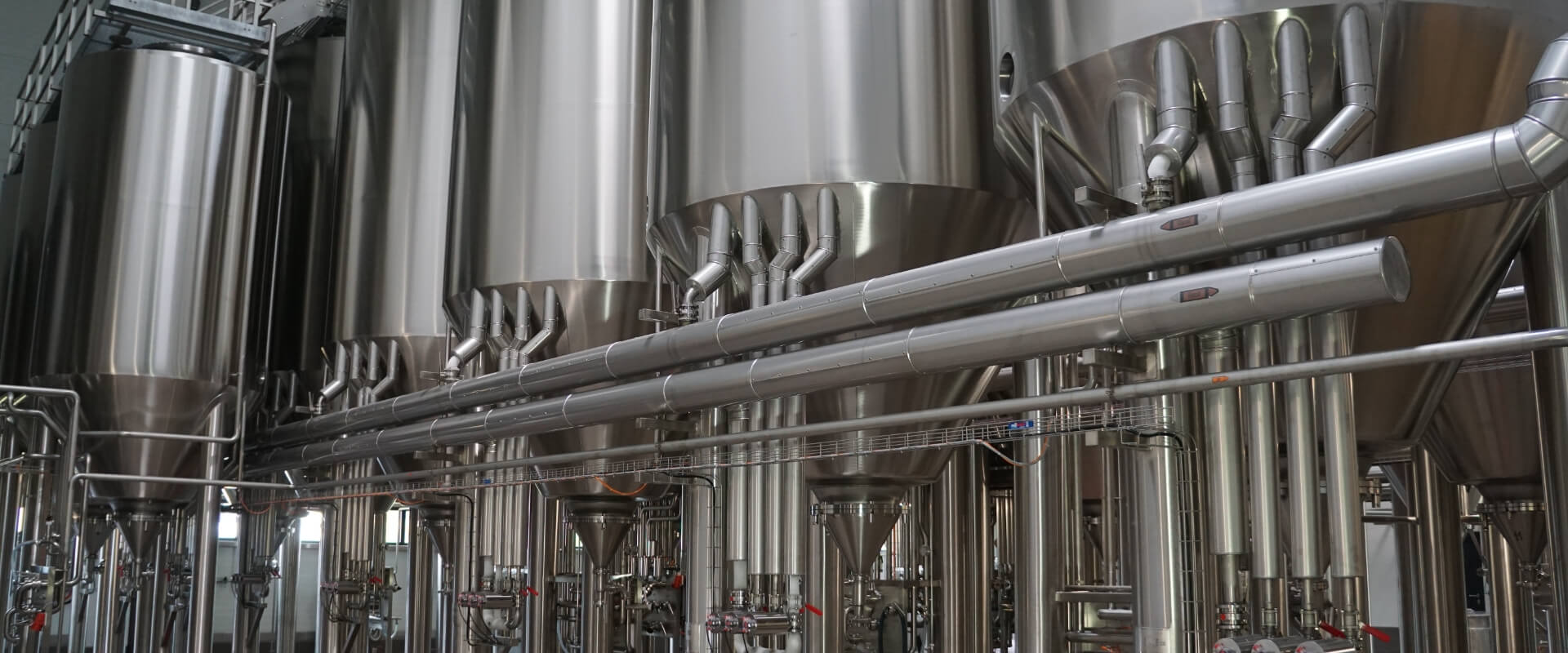 主發酵的工藝要點是什么？